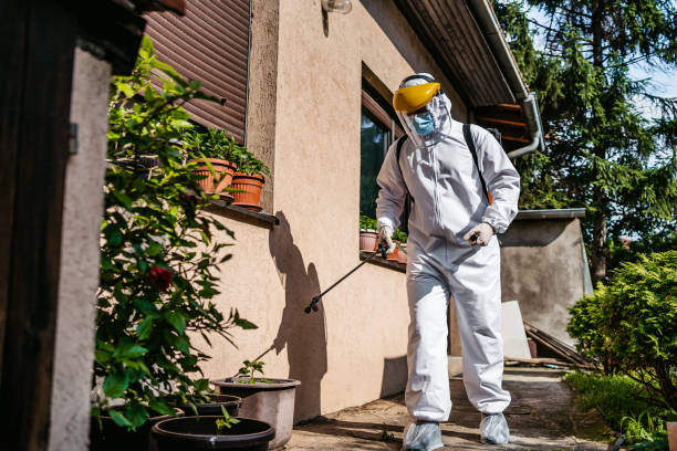 Best Flea Control Services  in Emerson, NJ