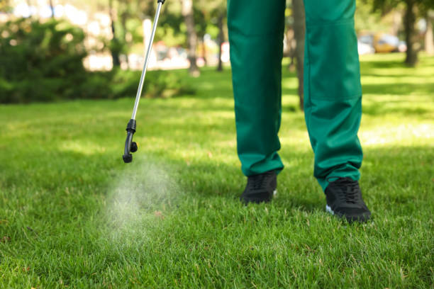 Best Local Pest Control Services  in Emerson, NJ